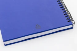 AP800194-06__CU1 notes