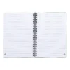 AP800194-07__B notes
