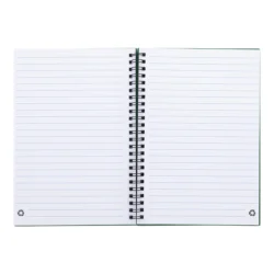AP800194-07__B notes