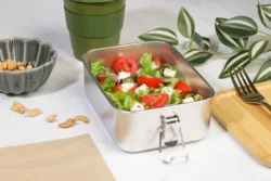 AP800251__DG lunchbox RSS