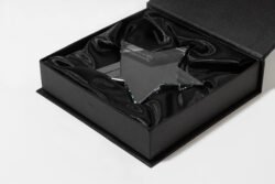AP800260__CU1 trofeum gwiazda