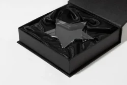 AP800260__CU1 trofeum gwiazda