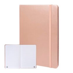 AP800276-97 notes RPU