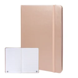 AP800276-97 notes RPU