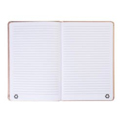 AP800276-97__B notes RPU