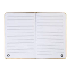 AP800276-98__B notes RPU