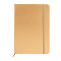 AP800276-98__C notes RPU