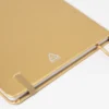 AP800276-98__CU notes RPU
