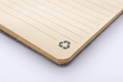 AP800515-77__F notes RPET