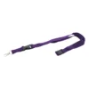 AP800581-13 Smycz RPET