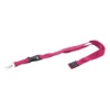 AP800581-25 Smycz RPET
