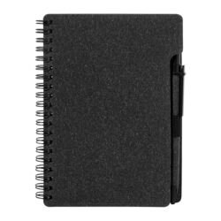 AP800699-10__C notes