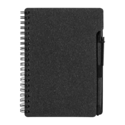AP800699-10__C notes