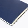 AP800705-06A__CU1 notes RPU