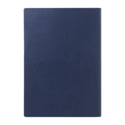 AP800705-06A__D notes RPU