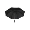 parasol