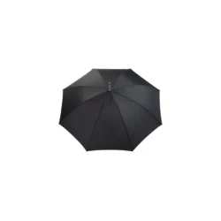 AP800713-10__A parasol