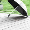 AP800713-21__DG1 parasol