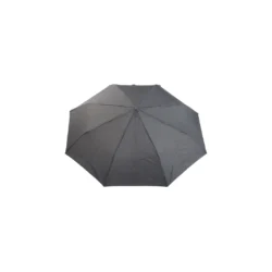 AP800716-10__A parasol