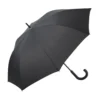 AP800725-10 parasol