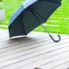 AP800725-10__DG1 parasol