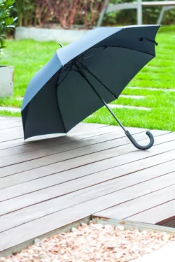 AP800725-10__DG1 parasol