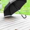 AP800725-10__DG2 parasol