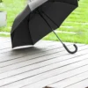 AP800725-10__DG2 parasol
