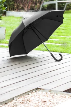 AP800725-10__DG2 parasol