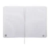 AP800741-01__B notes RPU