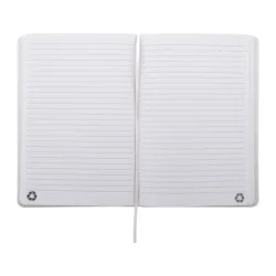 AP800741-01__B notes RPU