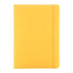 AP800741-02__A notes RPU