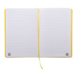 AP800741-02__B notes RPU