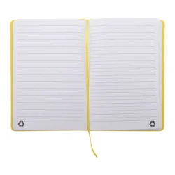 AP800741-02__B notes RPU