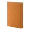 AP800741-03 notes RPU