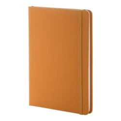 AP800741-03 notes RPU
