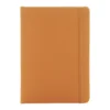 AP800741-03__A notes RPU