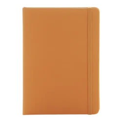 AP800741-03__A notes RPU