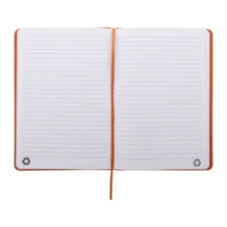 AP800741-03__B notes RPU