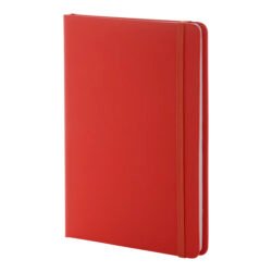 AP800741-05 notes RPU