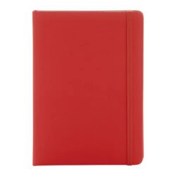 AP800741-05__A notes RPU