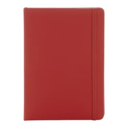 AP800741-05__A notes RPU