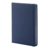 AP800741-06A notes RPU