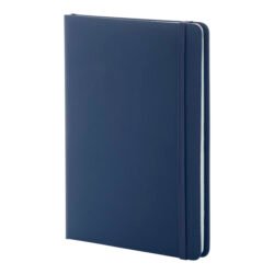 AP800741-06A notes RPU