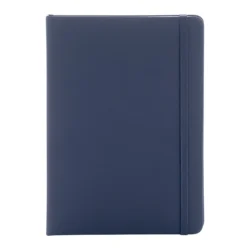 AP800741-06A__A notes RPU