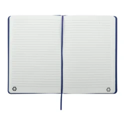 AP800741-06A__B notes RPU