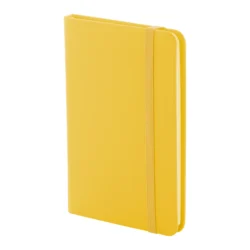 AP800742-02 notes RPU
