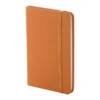 AP800742-03 notes RPU