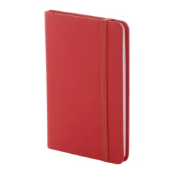 AP800742-05 notes RPU