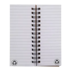 AP800743-00__D notes